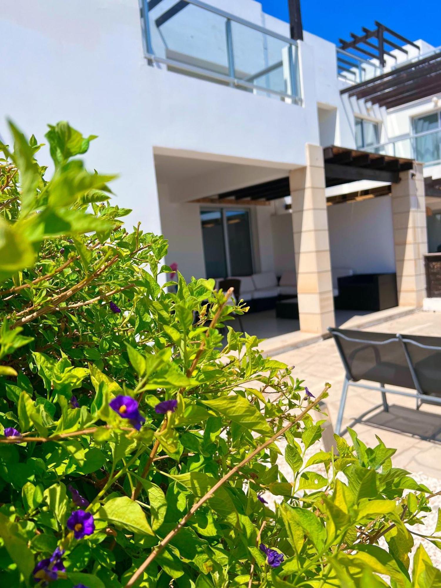 3 Bedroom Seaview Villa Direct In Coral Bay With Pool Exterior photo